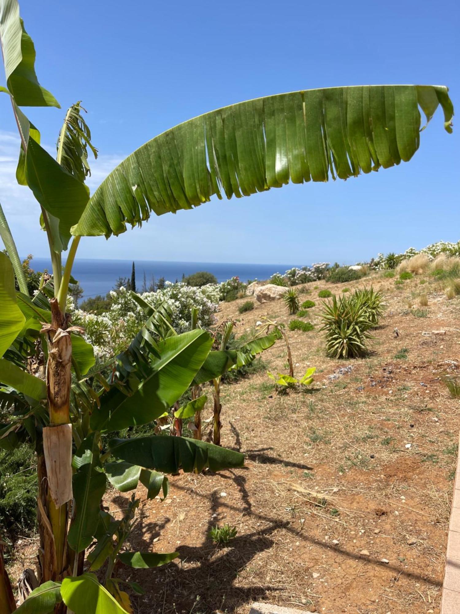 Kefalonian Escape Suites Valeriános Esterno foto